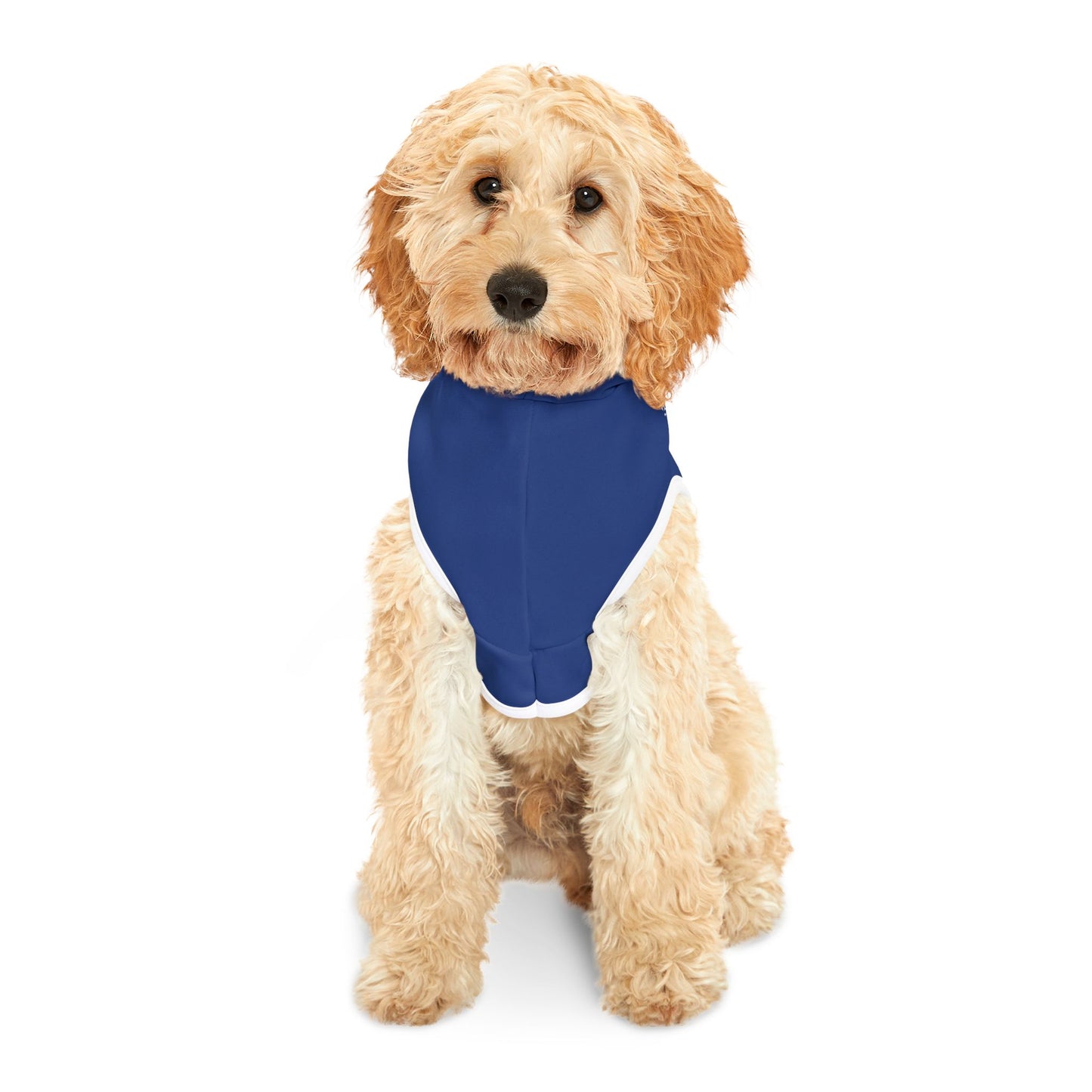 Sail250® Virginia Pet Hoodie